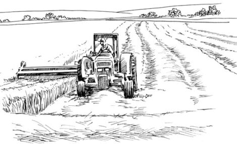 Basics of Making Hay Image